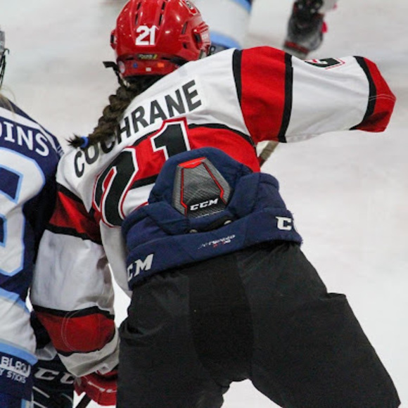 Meet your Posher, Piper - Picture 1 of 1